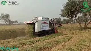 MFTC Kubota Half Feed Combine Harvester in Jan Chak