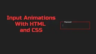 Input Animations with HTML and CSS #css3 #animation #webdeveloper #csseffect #frontend #html5 #html