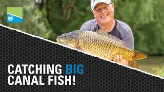 Catching BIG Canal Fish On The Pole | Preston Innovations