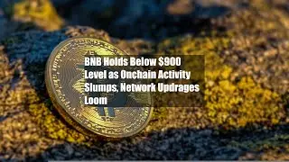 BNB держится ниже уровня $900 на фоне падения активности в сети и приближения обновлений сети