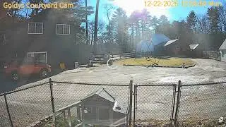 Goldy's Farm Update All Cameras Down since 1pmish 12222025