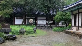 Healing Rain Sounds | Relaxation and Meditation