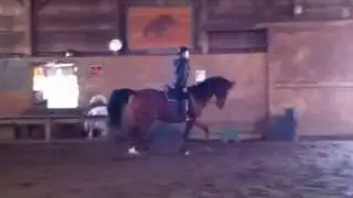 catching head tossing