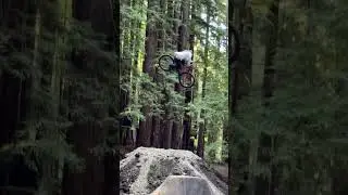 MTB Rider Unleashes a FLAWLESS Whip! 🚀