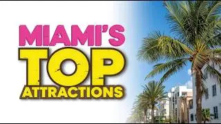MIAMI's Top 10 Tourist Attractions That Will Captivate You!