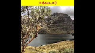 Ecuador பற்றிய சுவாரசியமான உண்மைகள் | Ecuador _Facts_in_Tamil | Factsmaima #Shorts
