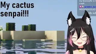 CACTUS??? OwO