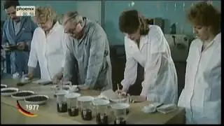 Bohnenkaffee Knappheit in der DDR 1977