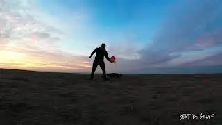 Our last discdog session of 2019