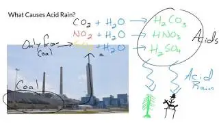 What Causes Acid Rain?
