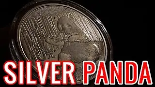2017 Chinese Silver Panda Coin Review!