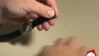 Change a Swatch Buckle