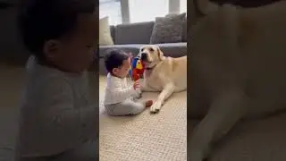 Wait for the Wheeze! 😂👶 #funnybaby #cutebaby #babyanddog