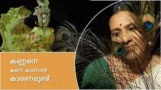 കണ്ണനെ കണി കാണാൻ കാരണമുണ്ട് ...