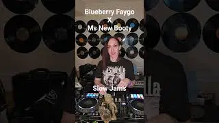 Blueberry Faygo x Ms New Booty Mashup #msnewbooty #dj #mashup #viral