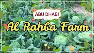 Al Rahba Organic Farm | Travel Vlog | Abu Dhabi | Everything you need to know | UAE