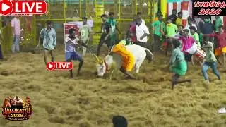 🔴LIVE :பாலமேடு ஜல்லிக்கட்டு 2026 | Palamedu Jallikattu 2026