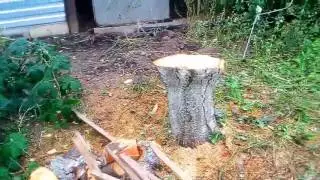 Бензопила Carver 45-15 Promo видео 5