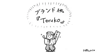 [Destiny2]対戦とコントロ