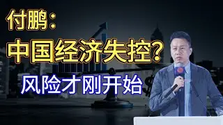 付鹏解析：中国经济现在的“病根”到底在哪？结构转型还是断臂求生？