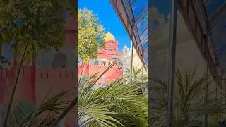 Sukoon🙏🏻#Sikhism #Gurudwara #Waheguru #Satnam #Khalsa #PunjabCulture #Sewa #Gurbani #khalsaspirits
