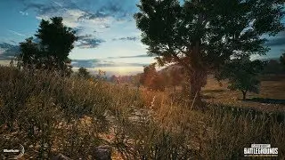 PLAYERUNKNOWN'S BATTLEGROUNDS 03.10.2017 Team victory