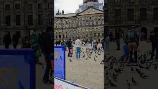 Dam Square Amsterdam, Netherlands 🇳🇱 #netherlands #amsterdam #shorts