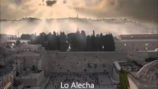 Lo Alecha