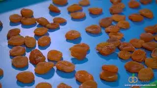 Dried Fruit Cube Cutting Machine