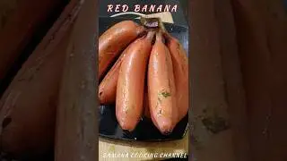 செவ்வாழை || Red Banana 🍌🍌🍌#shorts #redbanana #banana #bananas #bananarecipe #valaipalam #bananashake