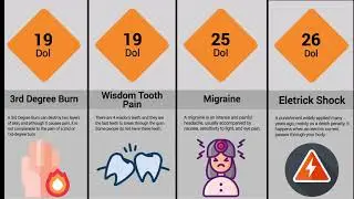 Comparison: What is the worst Human Pain?