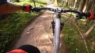Rose Pikes Peak proto short version