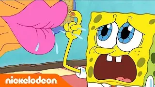 Bob Esponja | Os beijos da vovó | Nickelodeon em Português