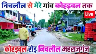 निचलौल से मेरे गांव कोहड़वल तक लाइव | Nichlaul To Kohadwal | Nichlaul | Maharajganj | Gorakhpur