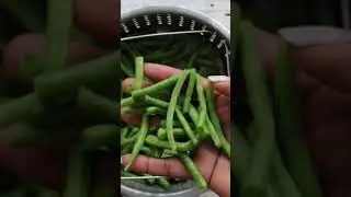 Saut&eacute;ed Mixed Veggies 😋 | Delicious & Simple #shorts