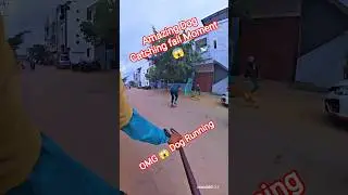 Nepali Dog Catcher Aggressive Dog #dog #nepal #streetdogrevival #shorts #ytviral