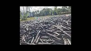 🌱 Madagascar Vanilla Bean Processing & Curing: From Farm to Flavor &ndash; Part 3: 🎬 Episode 2