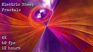 Electric Sheep Fractals 4K 60fps 12 hours ambient animation