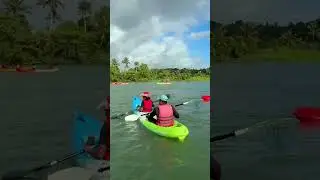 Paravoor Mangrove Kayaking | Kerala&rsquo;s Hidden Backwater Adventure #WalkingTree #ParavoorMangroves