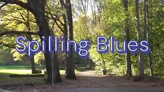 The Cruel Horizon   Spilling Blues