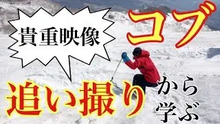 【貴重な映像公開】コブの追い撮りから学ぶ！！