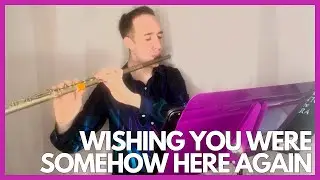 Wishing You Were Somehow Here Again (Flute Cover)