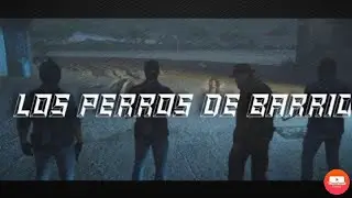 🌴Los perros de barrio🌴marbella🌴