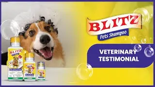 Seasoned Vet uses Blitz Pet Shampoo | Kills Ticks & Fleas