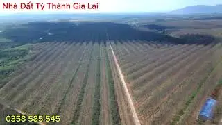 100ha caosu cho thuê trồng sen canh 7tr/ha  mỗi năm.  bao điện nước.  xac iapech  T Gia Lai 