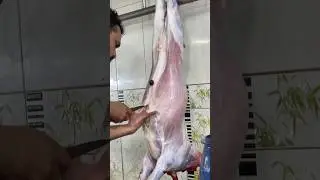 Giant Goat Cleaning Process in the Market | Meat Cutting | Mutton Chopping | Knife Skills | Butcher