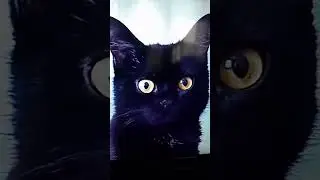знаю видео не по теме но АХАХА