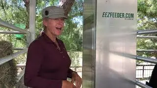 EEZFEEDER com