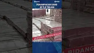 Penampakan Uang Rp 11,8 Triliun