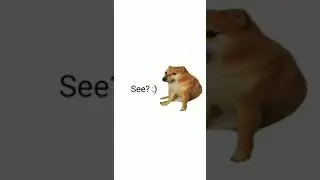Video de cheems sin sentido v: